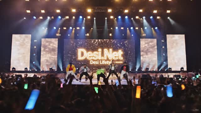 Glow sticks in the dark — Desi Lifestyle concert clip 40